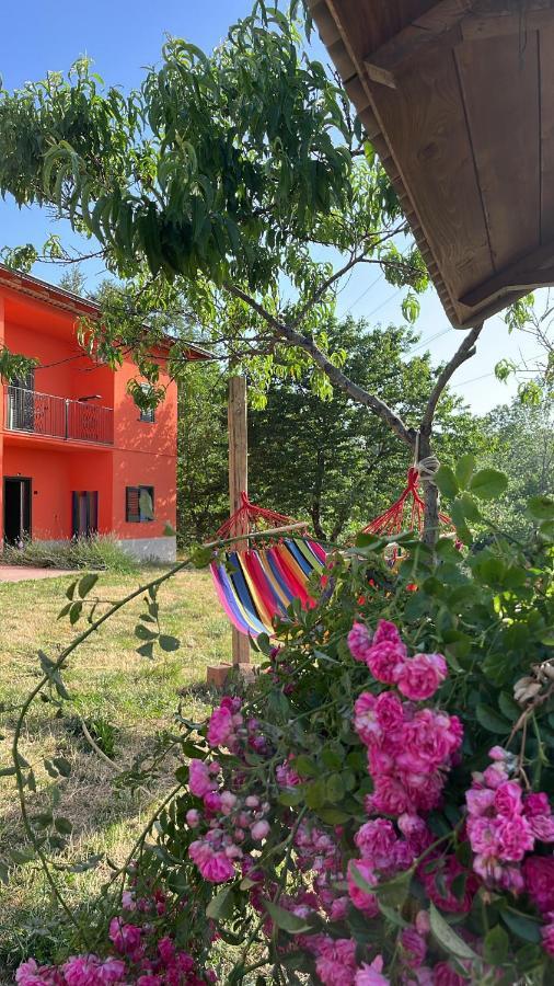 סן סברינו לוקאנו Residence Villa Gioia מראה חיצוני תמונה